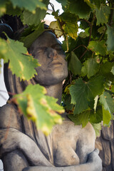 Aphrodite genießt den Schatten