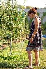 woman watering garden with watering can in summer