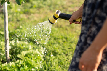 Woman watering the garden with a hose in the summer. Selective focus