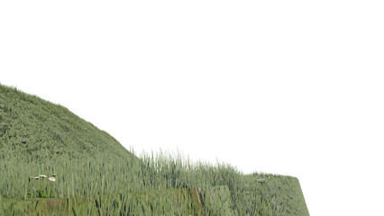 nature grass meadow land lush greenery landscape lawn isolated background.