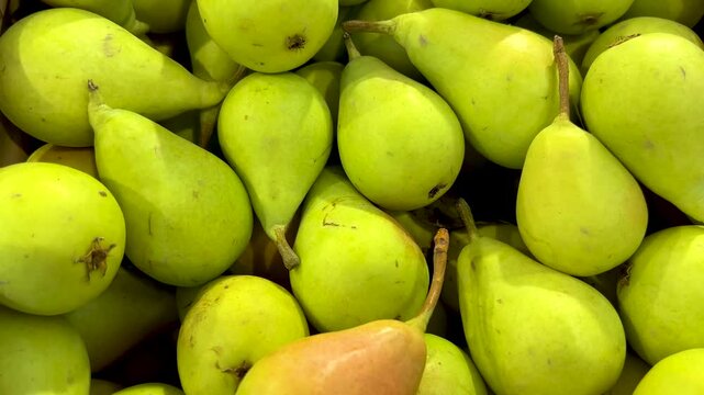 Pears called in italy Coscia (thigh) . Zoom in, tracking shot in Top view of pears arranged in crate on the counter by the greengrocer