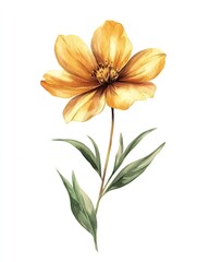 A single yellow flower with green leaves against a white background.