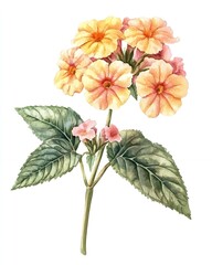 Obraz premium A delicate watercolor illustration of a cluster of yellow and pink flowers with green leaves.