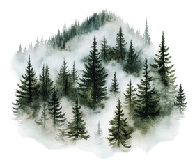 PNG Fog envelops pine trees in a serene forest