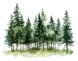 Obraz premium PNG Lush green forest with tall pine trees at dawn