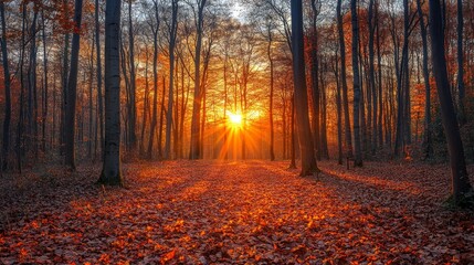 Fototapeta premium Serene Seaside Retreat - Tranquil Beach with Wooden Boardwalk, Tall Grasses, and Dunes