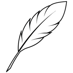 Feather Silhouette Line Art.