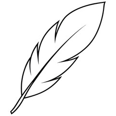 Feather Silhouette Line Art.