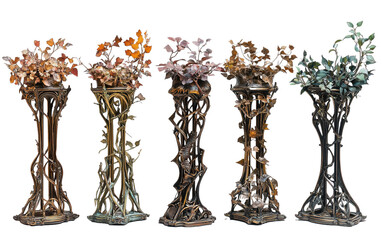 Fototapeta premium Series of ornate metal plant isolated on white or transparent background