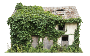 Abandoned house isolated on white or transparent background