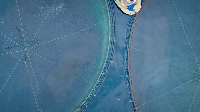 Top down aquaculture cages of fish farm in sea, Closeup aerial view