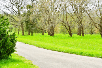 Versailles; France - april 7 2024 : Arboretum de Chevreloup