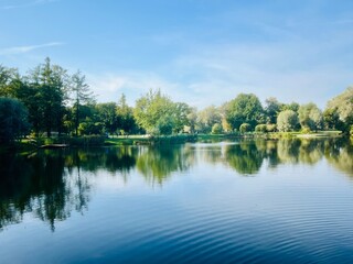 Fototapeta premium Trees reflection on the lake surface, blue lake in the park, summertime