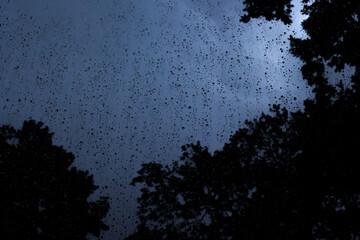 Rain