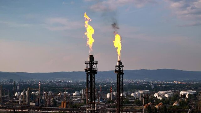 Oil refinery field burners