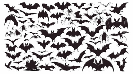 30 different bat silhouettes
