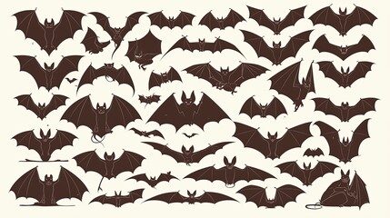 30 different bat silhouettes