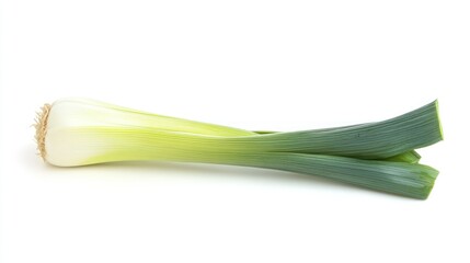 A fresh leek with a white bulb and green leaves, commonly used in cooking.