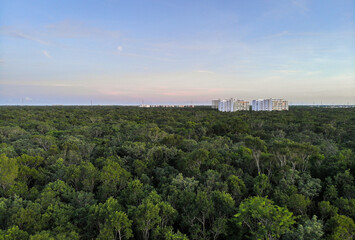 Fototapeta premium Aerial drone view of tropical green jungle during golden hour with blue and pink sky and white apartments buildings coming out of the forest in Mexico