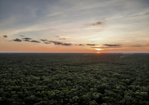 Aerial drone landscape view of tropical jungle with sunset and blue sky with few clouds during golden hour in Mexico