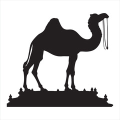 Camel silhouette on white background
