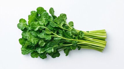 Fototapeta premium fresh green leafy vegetables bundle