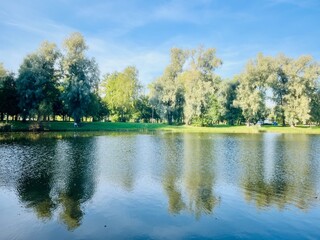 Trees reflection on the lake surface, blue lake in the park, summertime