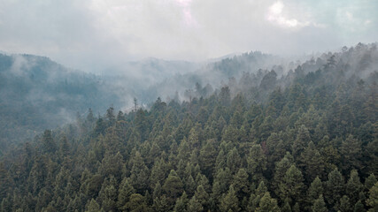 Aerial view of the forest on a foggy day in Mexico