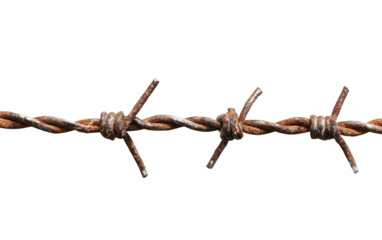 Barbed wire isolated on white or transparent background