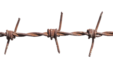Barbed wire isolated on white or transparent background