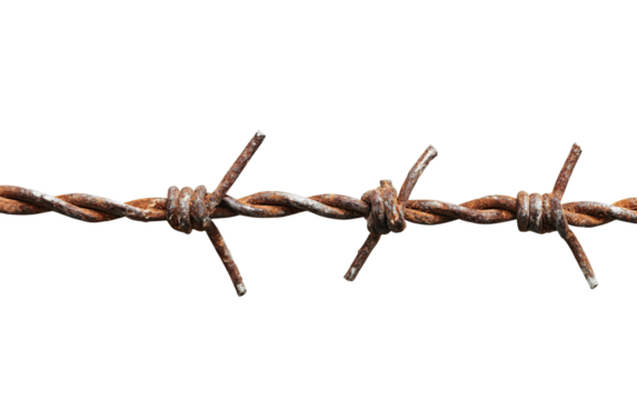 Barbed wire isolated on white or transparent background