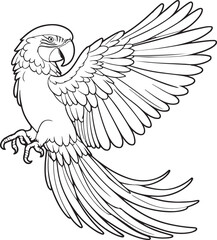 A parrot line art coloring page illustration for kids