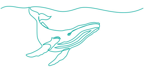 Obraz premium Breaching Humpback whale drawing in one continuous line, Continuous one line drawing of whale jumping. Simple illustration of humpback whale line art vector illustration, One continuous line drawing
