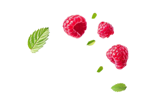Ripe juicy Raspberry with green leaves flying in the air isolated on background, flat lay view of delicious and healthy sweet berry fruit.