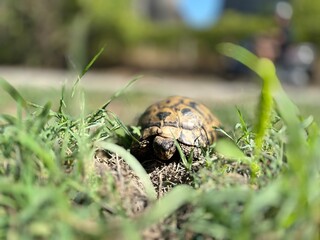 Meteora Region, Greece