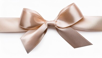 white gift bow