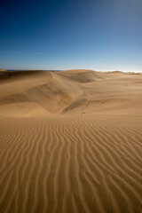 Maspalomas dunes on Gran Canaria, Canary Islands, Spain