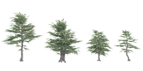 Cedar of lebanon Trees collection with realistic style