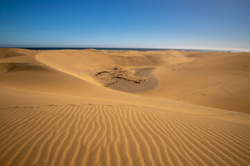 Maspalomas dunes on Gran Canaria, Canary Islands, Spain