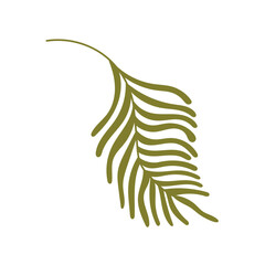 Hand draw tropical fern leaf isolated on white background. Vector illustration in flat doodle style. Exotic single icon of leaf. Green plant,stamp, leaf shape, leaf stencils.