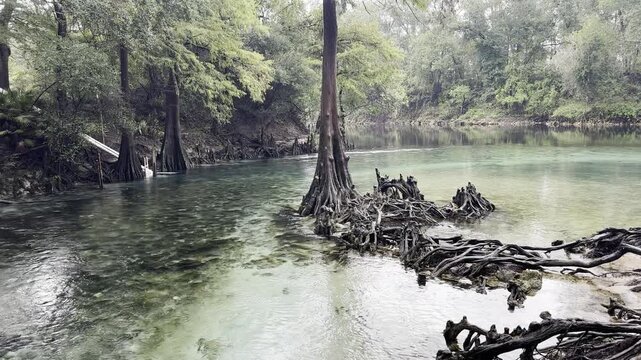 Madison Blue Springs on a Rainy Day, Madison Blue Spring State Park, Withlacoochee River, Florida