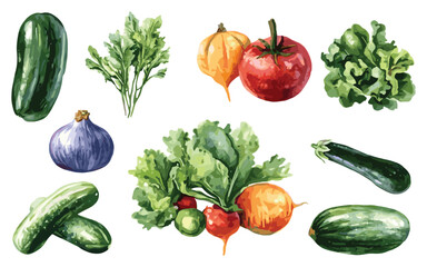 Vegetable Vector Elements, Vegetable Watercolor Illustration isolated on white background