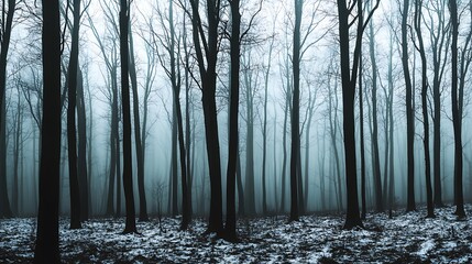 Enigmatic Fog-Shrouded Forest
