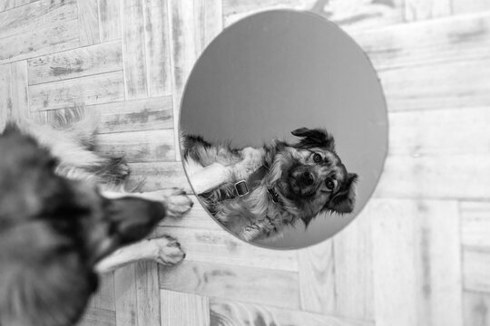 reflection