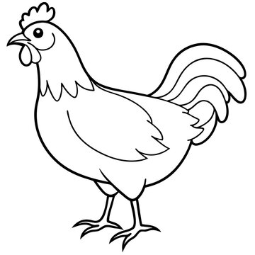 recommend clip art: chicken line art vector illustration