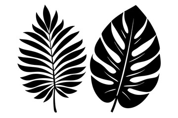 Obraz premium tropical two separated leaf silhouette vector illustration 