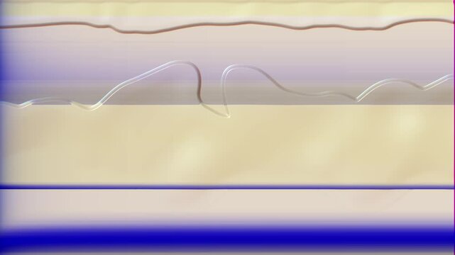 Elegant Curve Fluid Liquid Pastel Lines in Background. Energy Flow with horizontal error screen lines. Abstract Wavy Shapes. Holiday or celebration energy soft old film effect