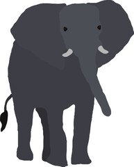 Gray elephant with trunk vector illustration
