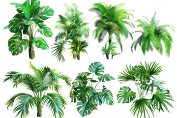 A collection of colorful tropical plants on a white background, perfect for decorating and design
