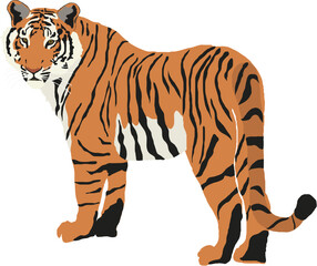 Isolated Bengal tiger character vector illustration